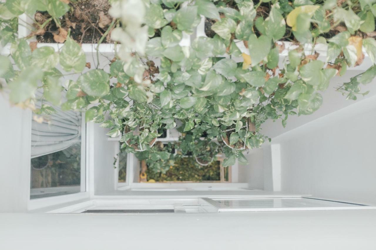 ホーチミン市 Mira Moon - Calmette Bed & Breakfast エクステリア 写真